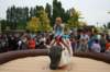 osstf_2011_132_small.jpg