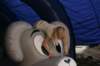 _p8s0439_small.jpg