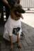 _p8s0627_small.jpg