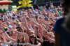 oostfeesten_2015_a431_small.jpg