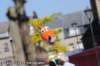oostfeesten_2015_a460_small.jpg
