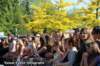 oostfeesten_2015_a490_small.jpg
