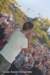 oostfeesten_2015_r232_small.jpg