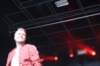 img_8851_small.jpg
